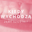 kiedy wychodzą zęby szóstki