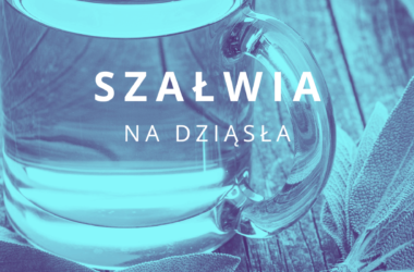 szałwia na dziąsła