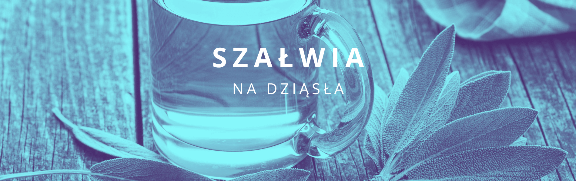 szałwia na dziąsła