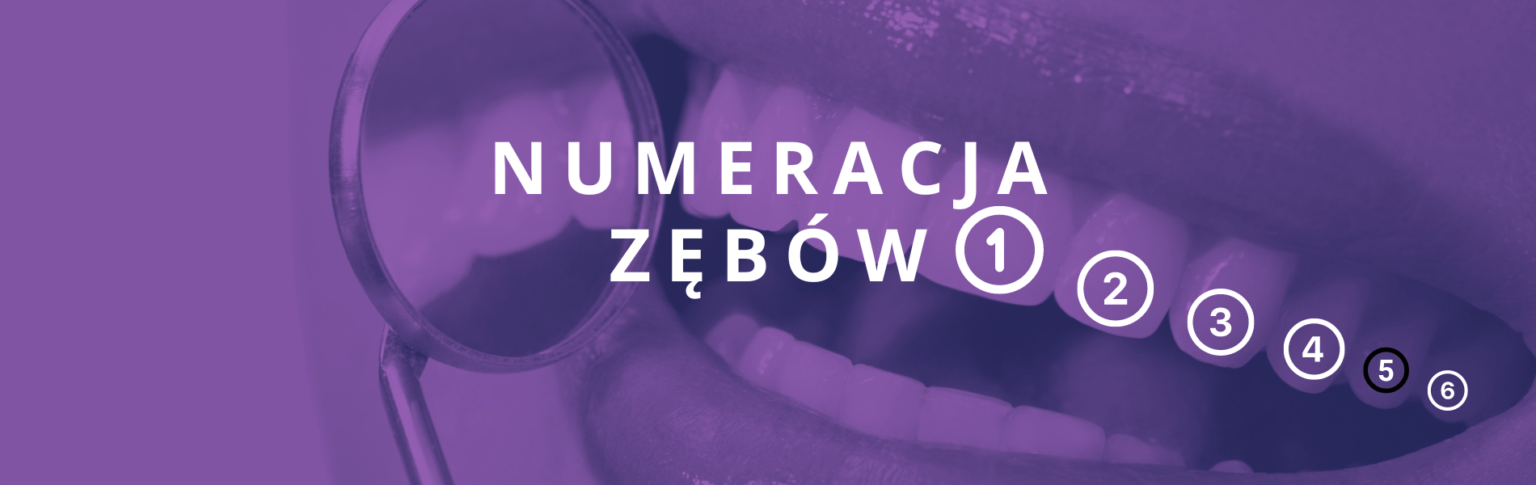 Pantomogram – jak odczytać zdjęcie RTG?